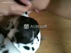 POV brute sex movie featuring a fresh-faced white wife getting cookie licked by a dog 